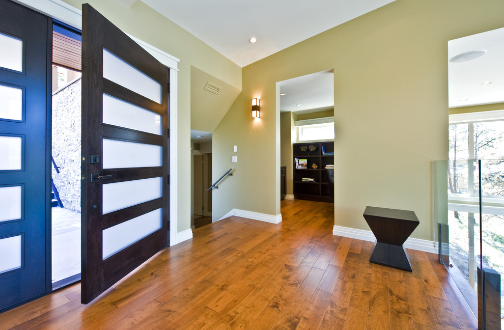 Designer Front Doors Entry Contemporary with Baseboard Dark Stained Wood