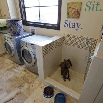 Dog Bathing Station Laundry Room Mediterranean with Austin Best Design Best