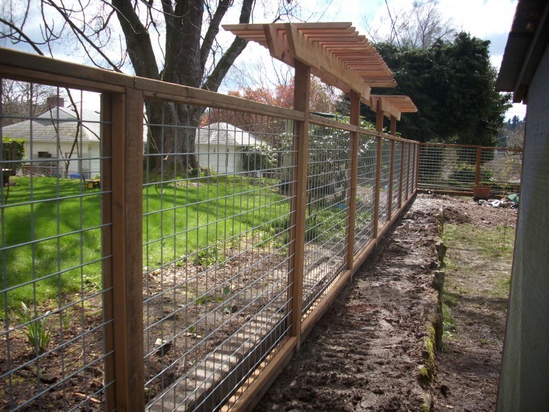 Dog Run Fence Landscape Modern with None 