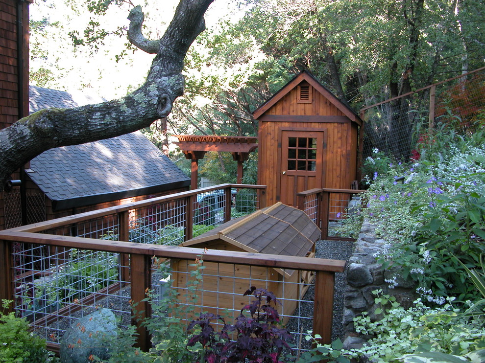 Dog Run Fence Landscape Traditional with Animal Enclosure Arbor Dog