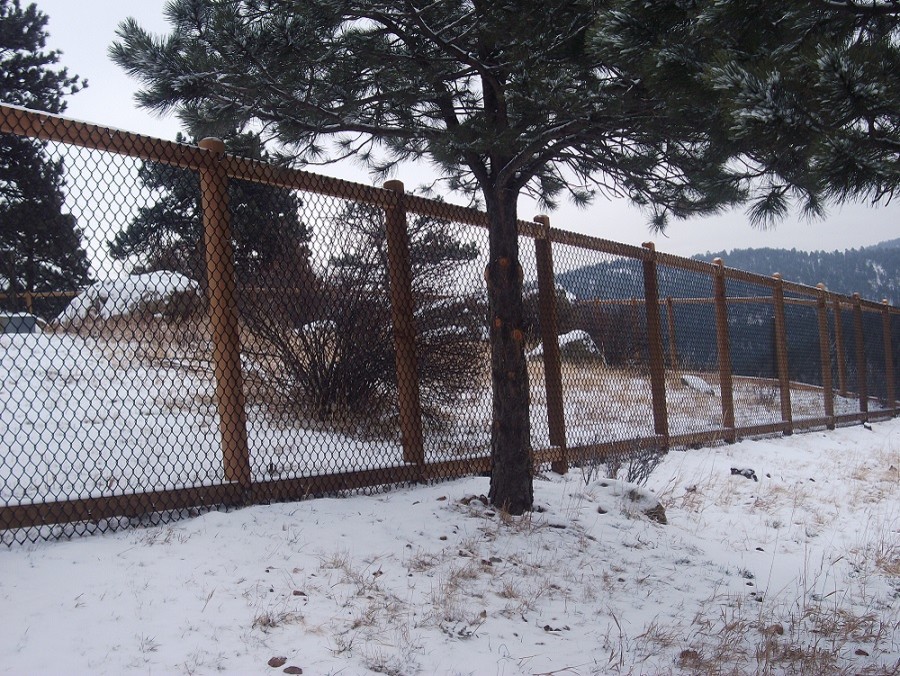 Dog Run Fence Spaces Traditional with Chain Link Dog Run