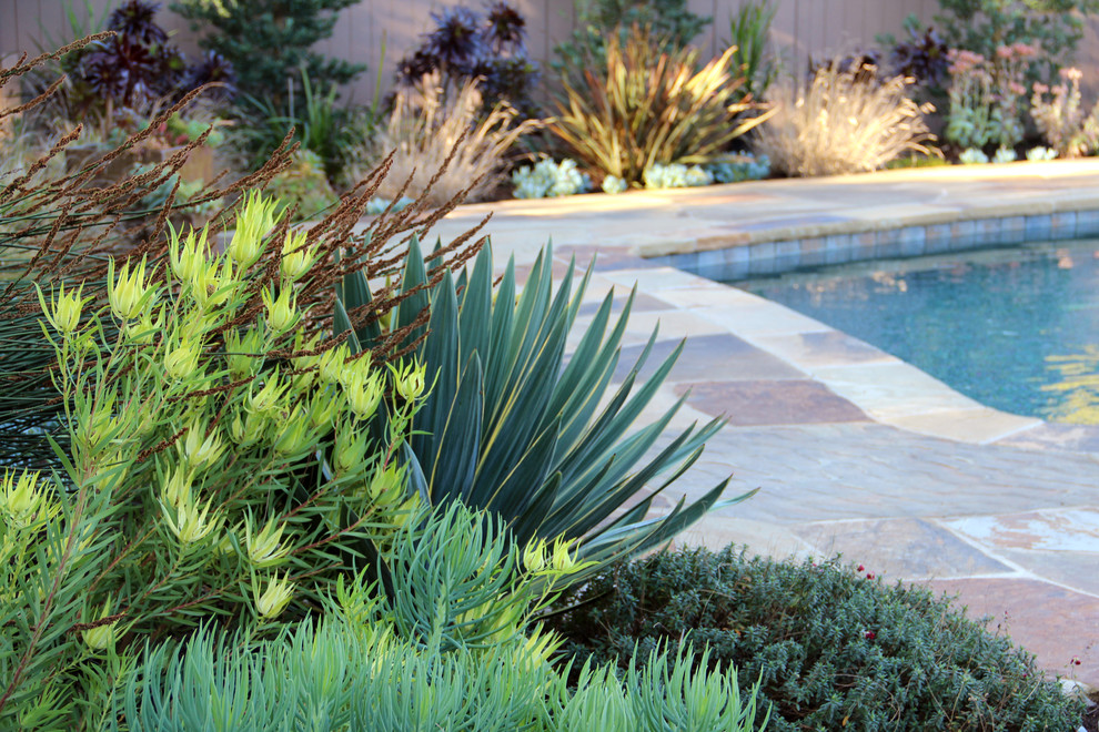 Drought Resistant Landscaping Landscape Contemporary with Drought Tolerant Dry Garden