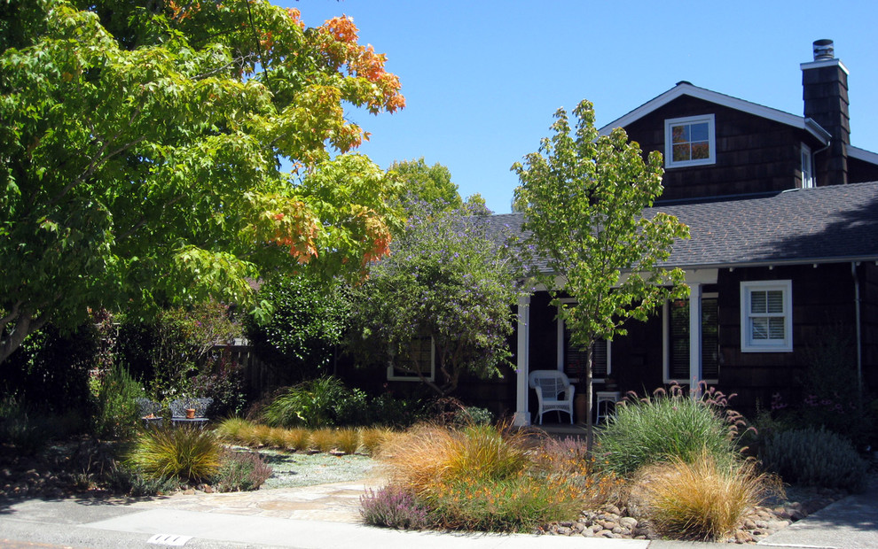 Drought Tolerant Landscaping Landscape Mediterranean with Bulbine Carex Drought Tolerant