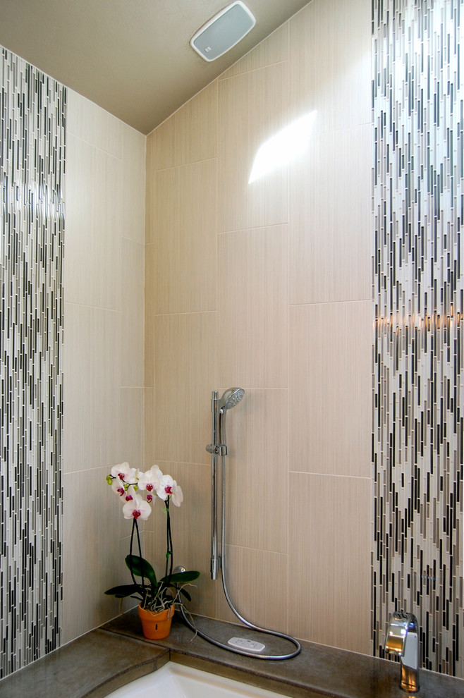 Epoxy Tile Grout Bathroom Contemporary with Accent Tiles Bullet Tiles