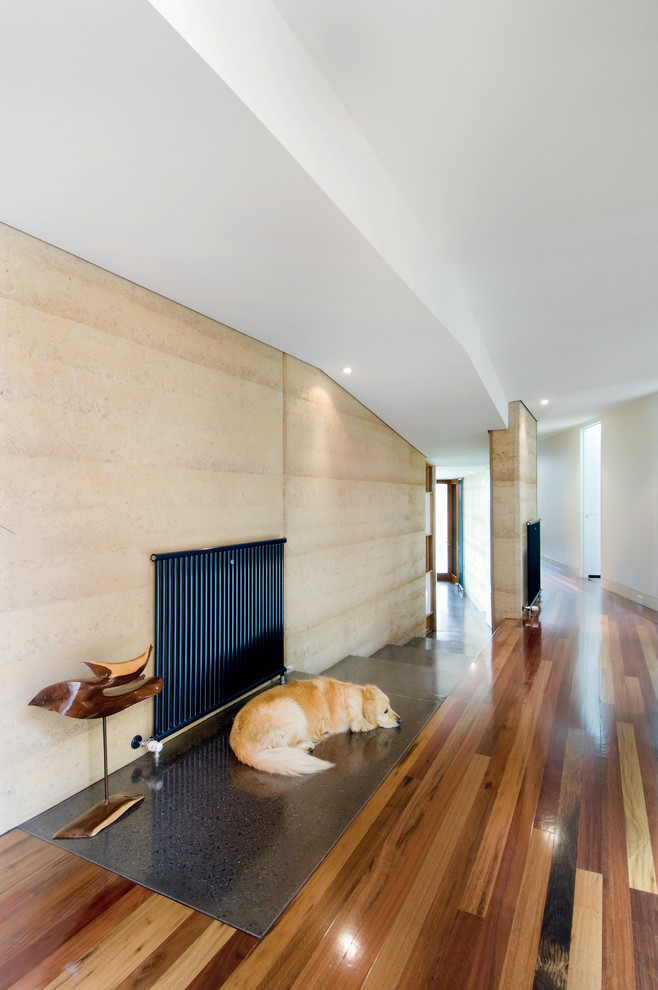 Eucalyptus Wood Flooring Entry Modern with Abstract Sculpture Curved Dog