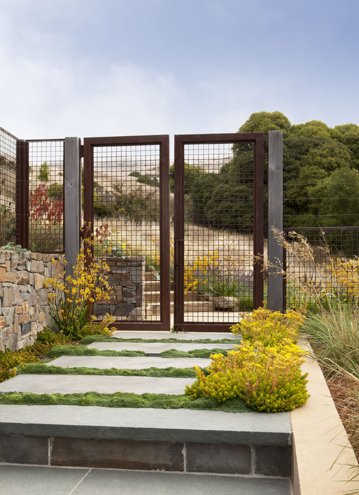 Fence Gate Ideas Landscape Beach with Angiozanthos Bush Gem Bulbine