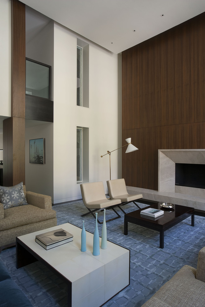 Fireplace Stone Surround Living Room Contemporary with Accent Wall Blue Rug