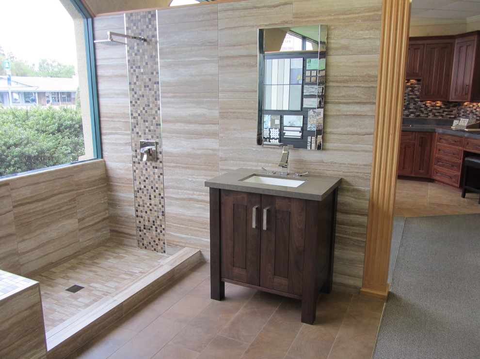 Frameless Shower Doors Bathroom Transitional with None 
