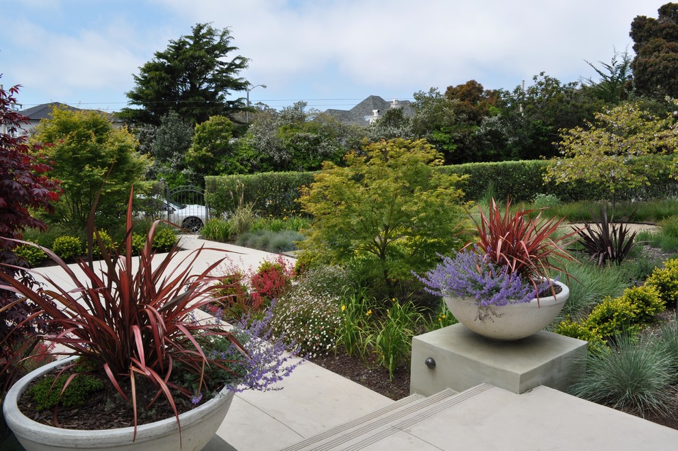 Front Yard Gates Landscape Contemporary with Bowl Concrete Container Plant