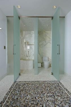 Frosted Glass Door Bathroom Modern with Bath Lighting Chrome Fixtures