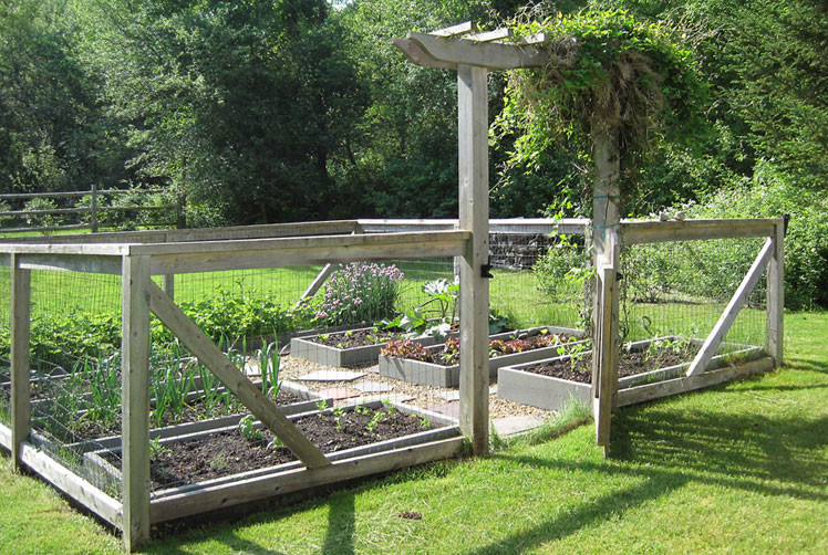Garden Fencing Ideas Landscape Traditional with Climbing Vine Fence Raised