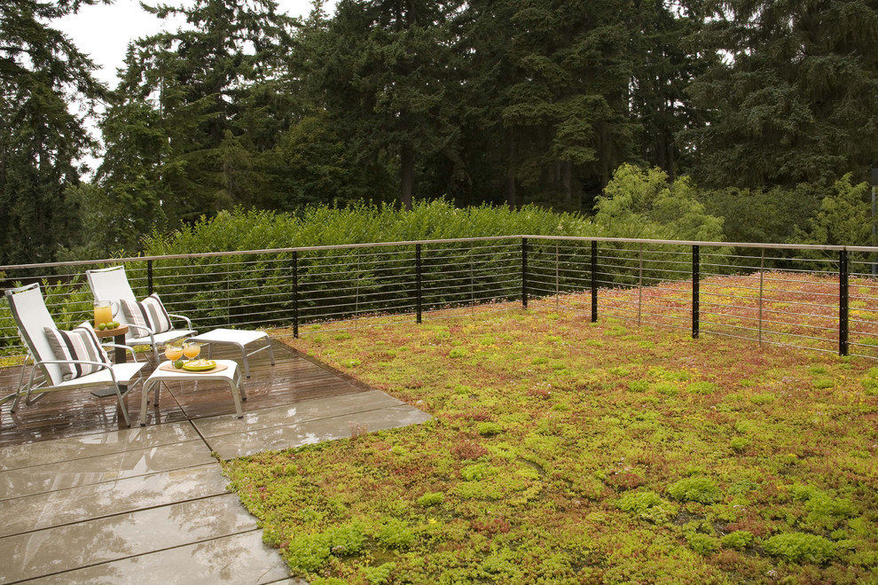 Garden Fencing Ideas Patio Contemporary with Concrete Paving Decorative Pillows