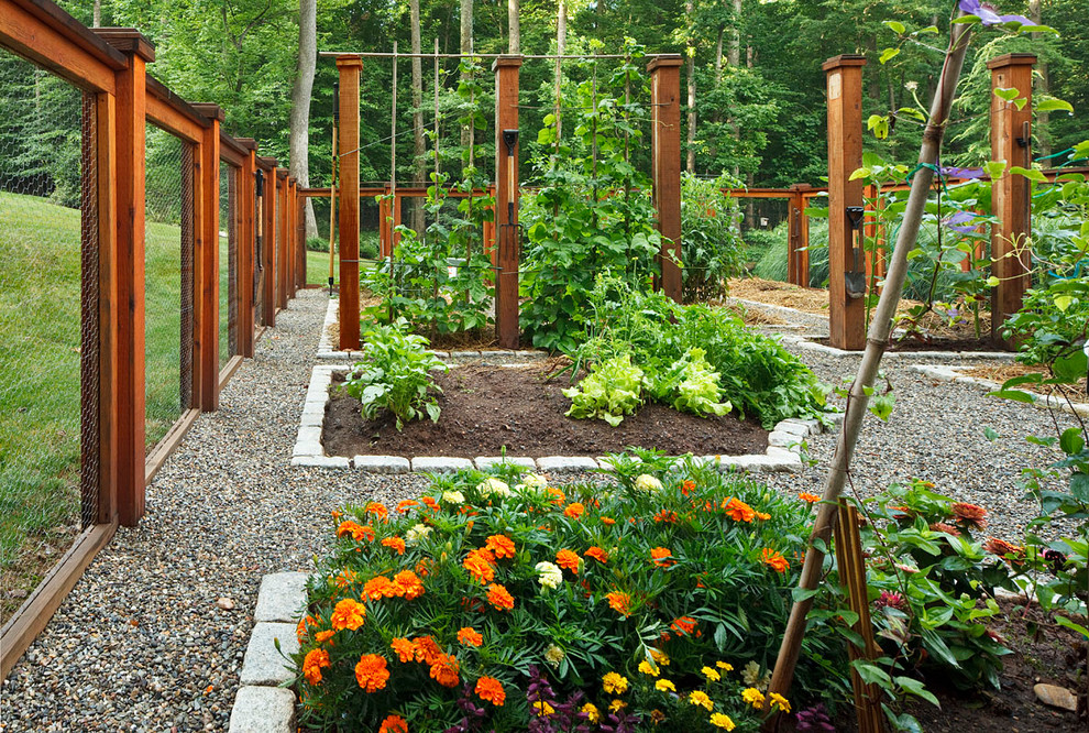 Garden Tool Storage Ideas Landscape Traditional with Chicken Wire Fence Gravel