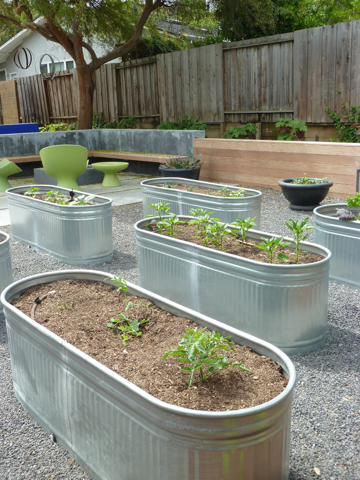 Gardening Ideas for Beginners Landscape Contemporary with Concrete Wall Flowerbed Garden