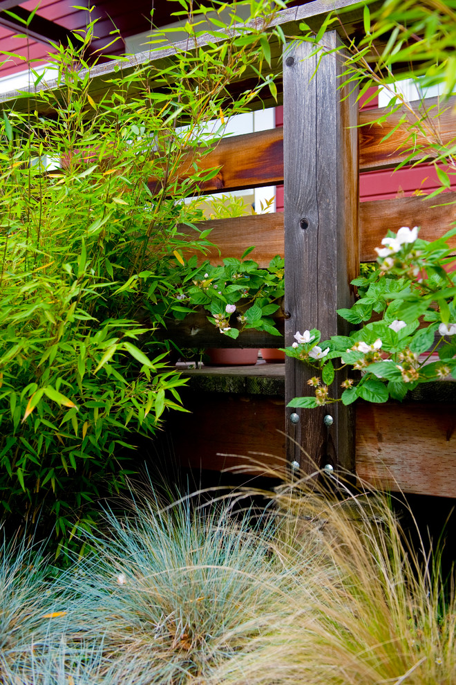 Grape Stake Fence Landscape Farmhouse with Edible Landscape Grape Stake