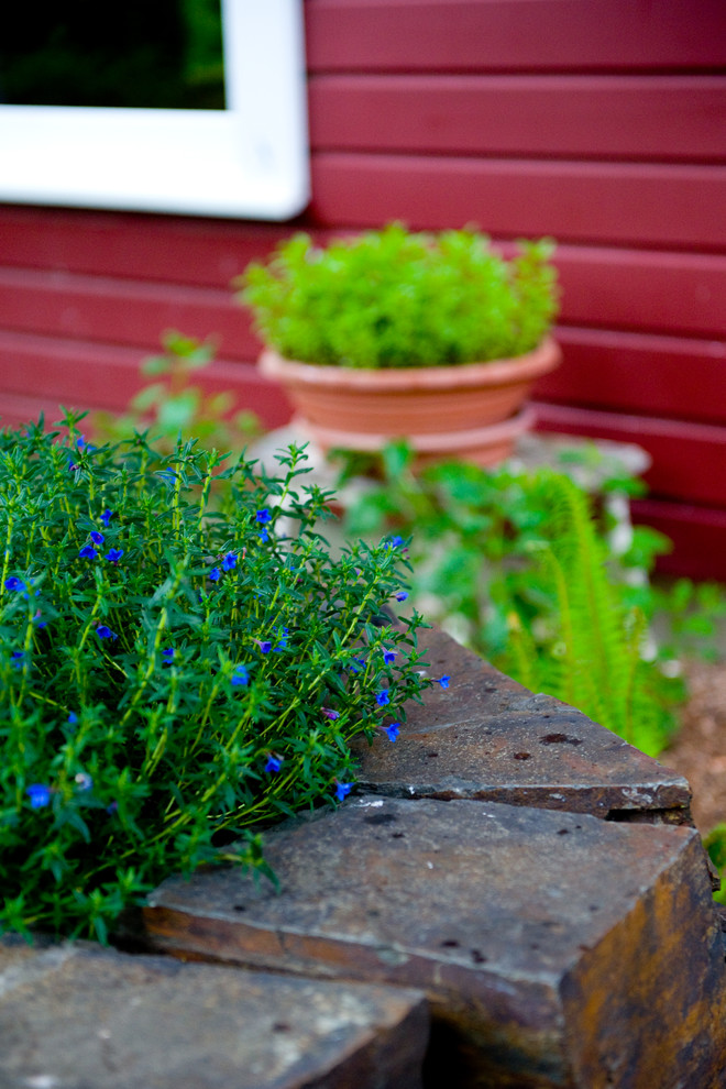 Grape Stake Fence Landscape Farmhouse with Edible Landscape Grape Stake1