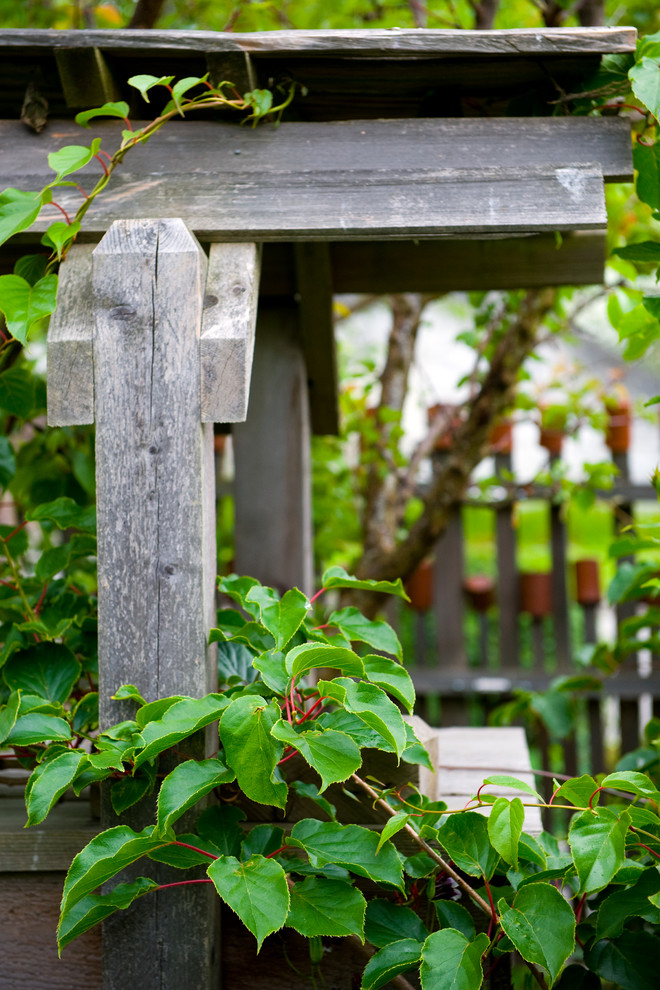Grape Stake Fencing Landscape Farmhouse with Edible Landscape Grape Stake2