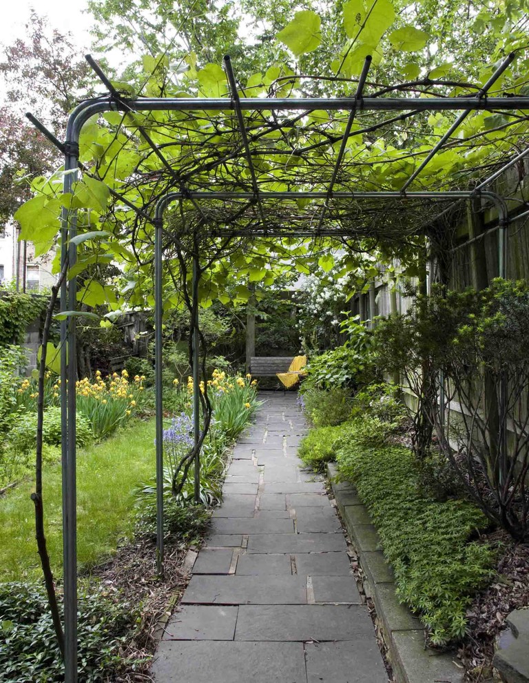 Grape Trellis Design Landscape Contemporary with Backyard Bulbs Garden Bench
