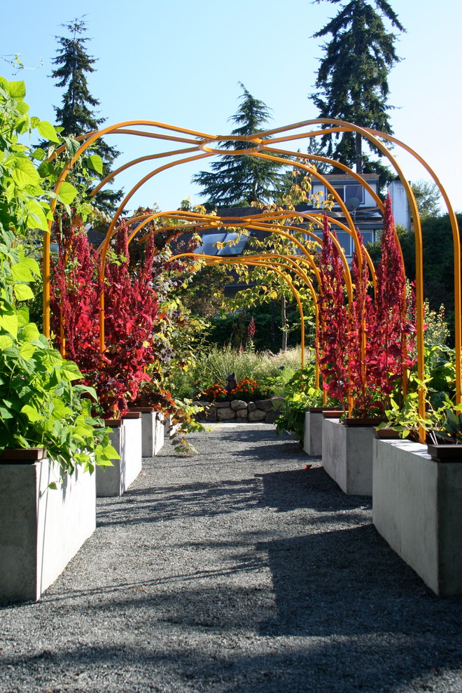 Grape Trellis Design Landscape Contemporary with Concrete Planters Container Garden