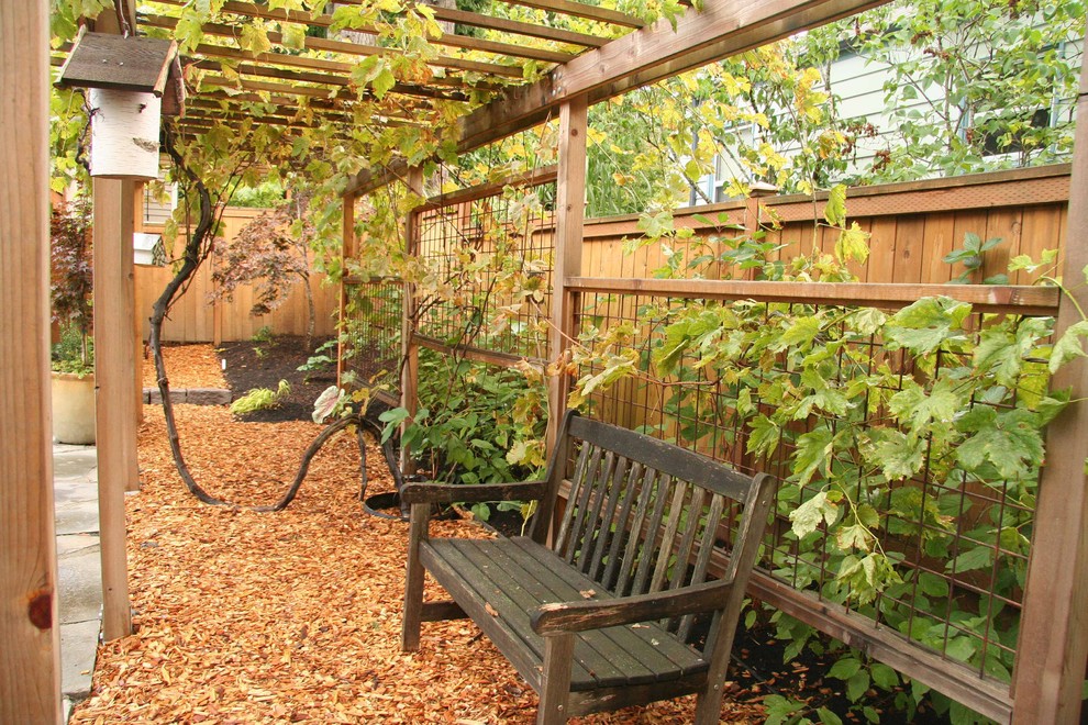 Grape Trellis Design Landscape Traditional with Arbor Backyard Bench Birdhouse