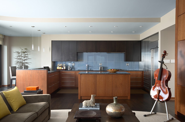 Grey Wood Stain Kitchen Contemporary with Artistic Tile Glass Backsplash