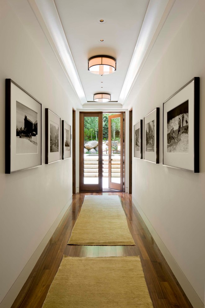 Hallway Ceiling Lights Hall Transitional with Area Rug Art Art