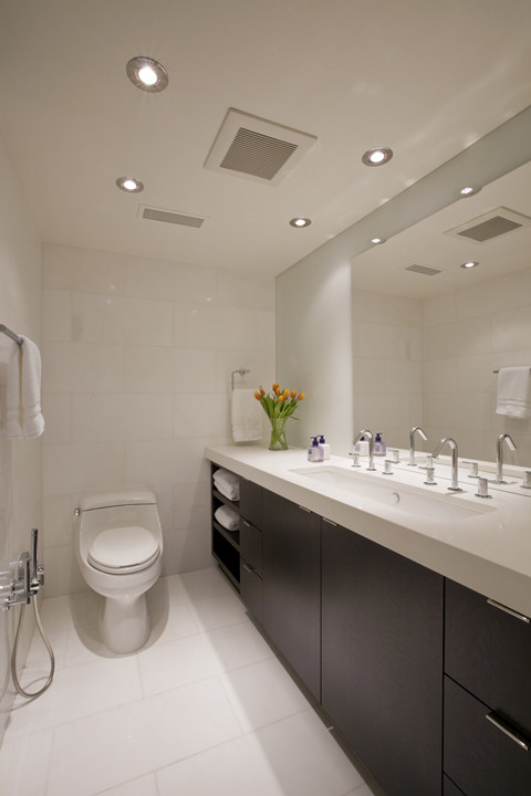 Hand Held Bidet Bathroom Modern with Back Painted Glass Contemporary