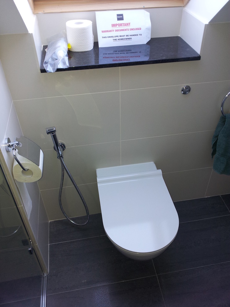 Hand Held Bidet Bathroom Traditional with Bidet Bidet Hose en Suite