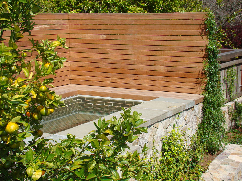Hot Tub Surrounds Pool Contemporary with Citrus Trees Garden Screen