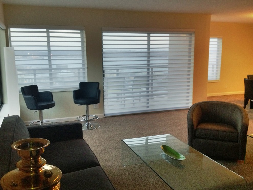 Hunter Douglas Silhouette Family Room Contemporary with Blinds for Room With1