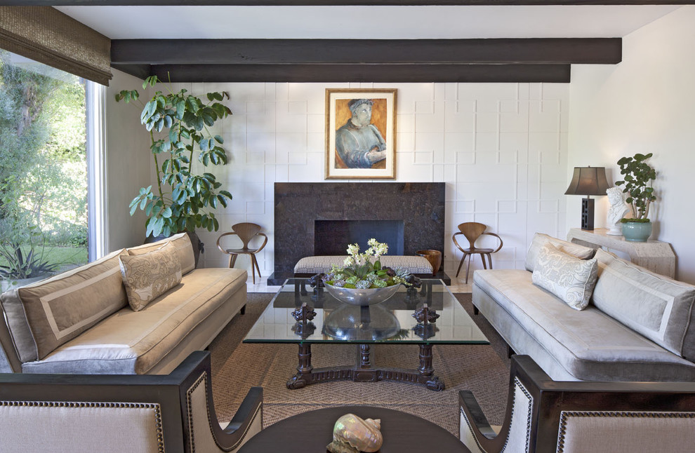 Indoor Plant Pots Living Room Contemporary with Accent Wall Area Rug