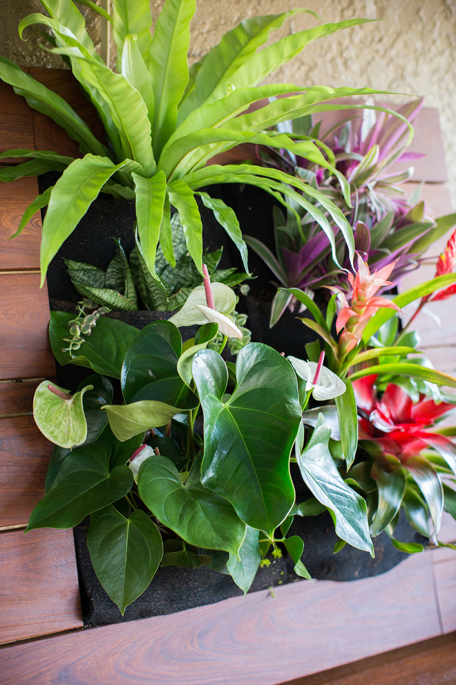 Indoor Vertical Garden Landscape Tropical with Container Gardening Garden Designer