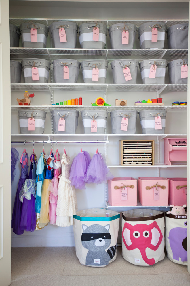 Inexpensive Closet Organizers Kids Transitional with Arts Crafts Baskets Bins