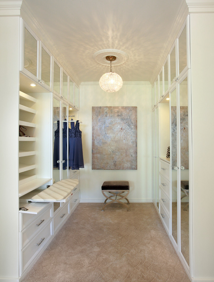 Iron Wall Shelf Closet Transitional with Beige Carpet Beige Wall