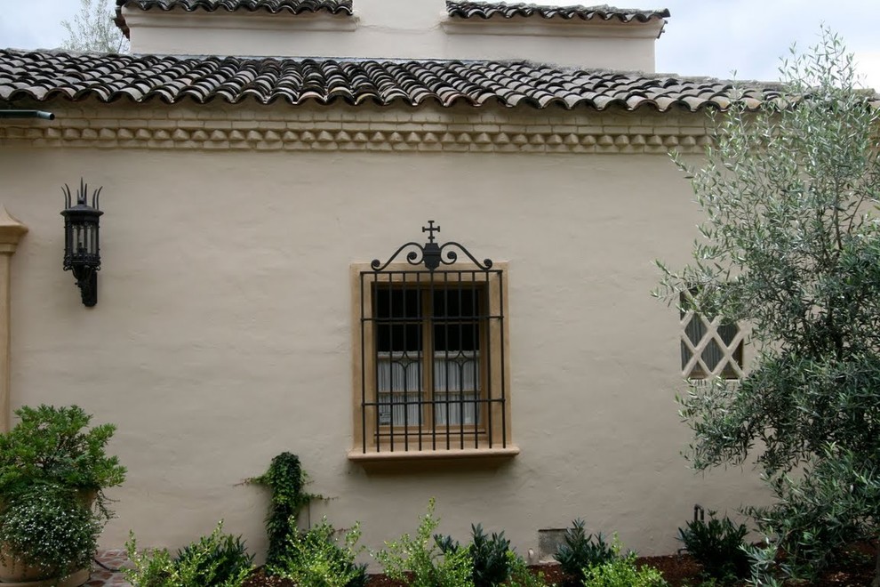 Iron Window Grill Exterior Mediterranean with Climbing Plants Iron Window