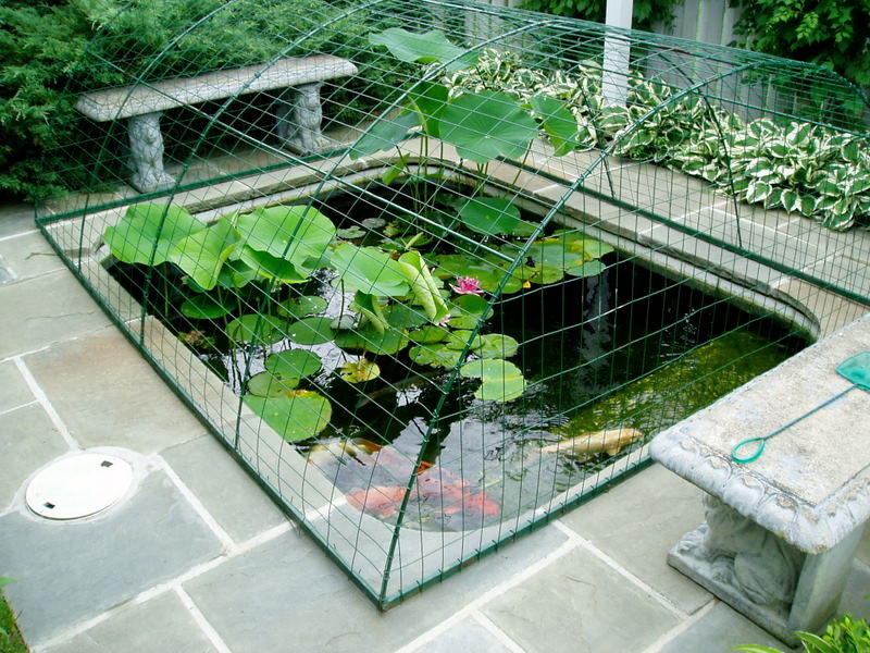 Keeping Birds Away Landscape Asian with an Old Tile Hot