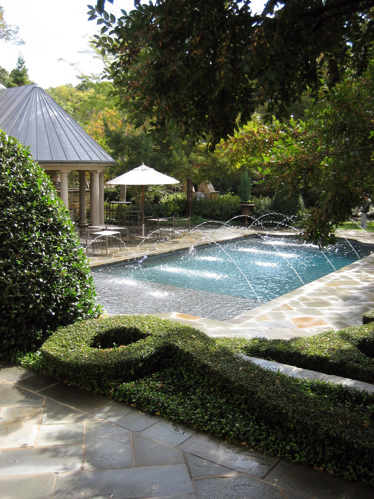 keeping birds away Pool Traditional with boxwood cabana columns formal