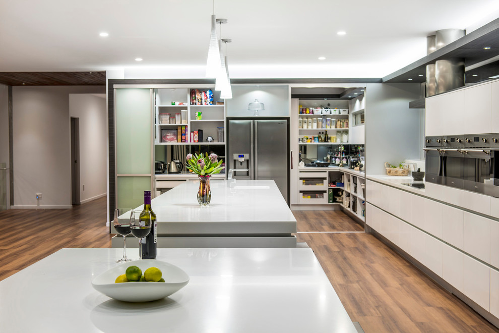 Kitchen Pantry Ideas Kitchen Contemporary with Butlers Pantry Concealed Frosted
