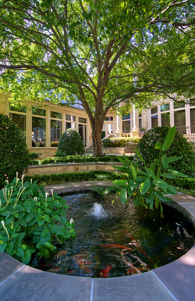 Koi Pond Design Landscape Traditional with Aquatic Backyard Exterior Fountain