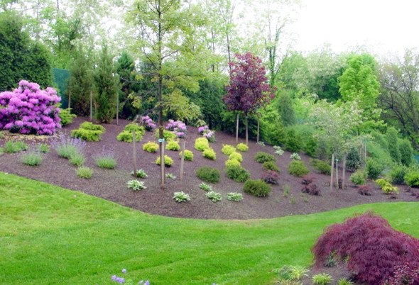 Landscape Design Tulsa Spaces Traditional with Backyard Landscaping Tulsa Landscape1