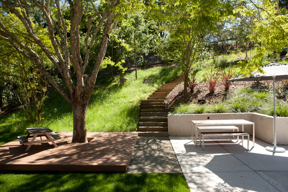Landscape Lighting Ideas Landscape Contemporary with Concrete Patio Deck Grasses