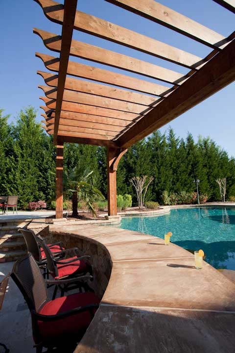 Landscaping Charlotte Nc Pool Traditional with Custom Pools Fireplace Hardscape2