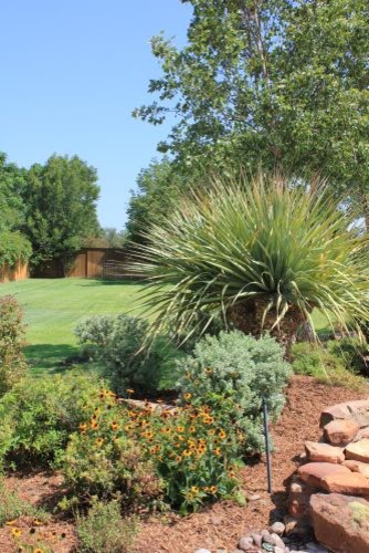 Landscaping Dallas Tx Landscape Contemporary with None 2