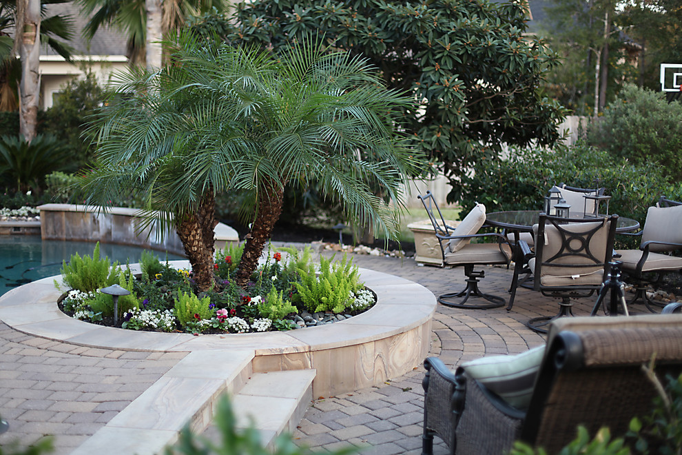 Landscaping with Palm Trees Landscape Tropical with None 