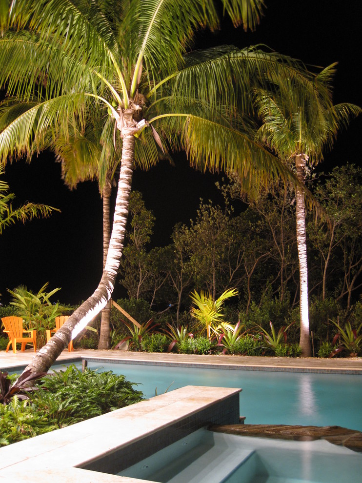 Landscaping with Palm Trees Pool Tropical with Hot Tub Lighting Oasis