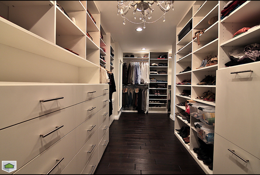 Large Indoor Planter Closet Contemporary with Walk in Closet 