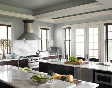 Living Room Paint Color Ideas Kitchen Traditional with None 