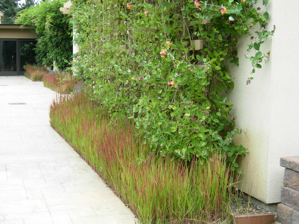 Low Maintenance Grass Landscape Contemporary with None 