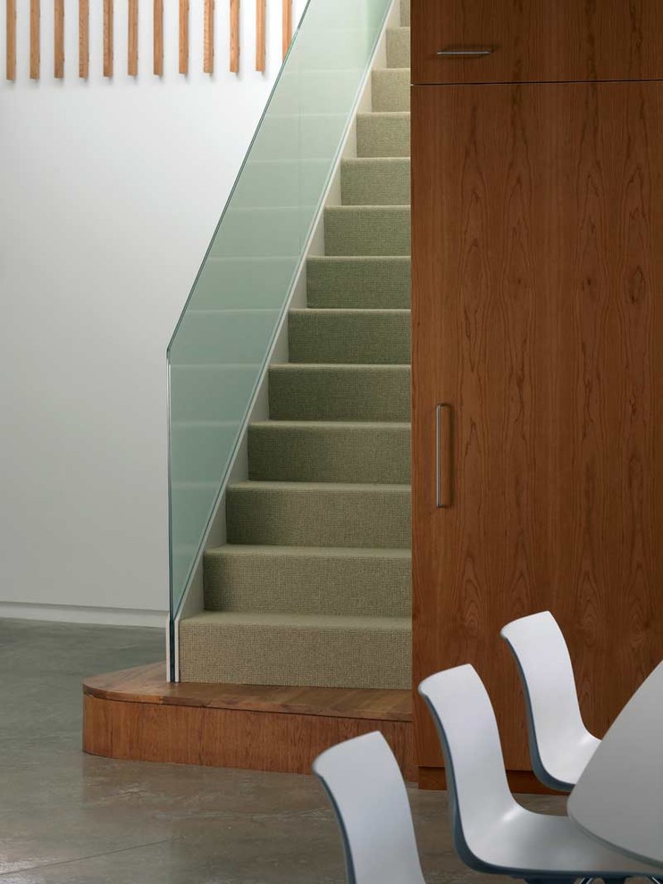 Low Pile Carpet Staircase Modern with Built in Cabinet Concrete