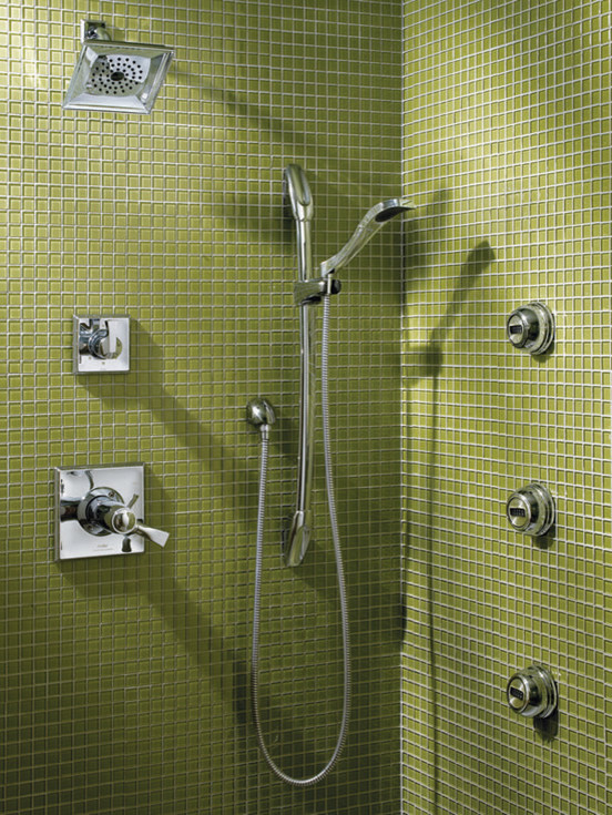 Luxury Shower Systems Bathroom Contemporary with None 
